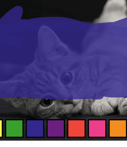 How to Play Feline Drawing Fun