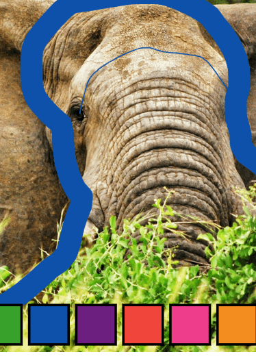 How to Play Pachyderm Sketch Workshop
