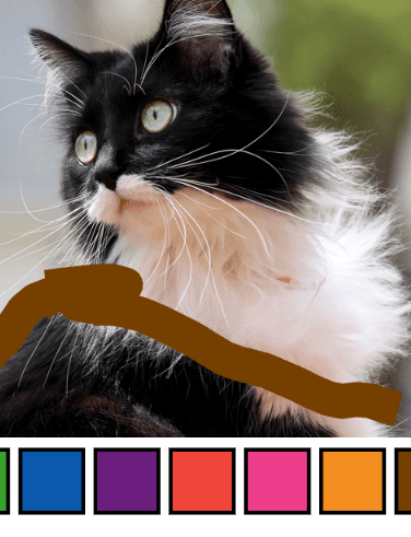 How to Play Cat Drawing Workshop